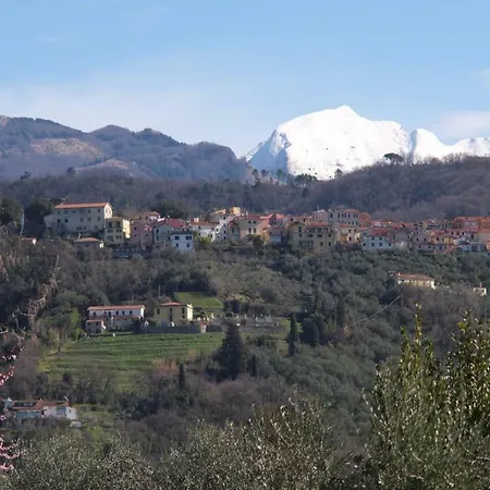 Conca D' Oro