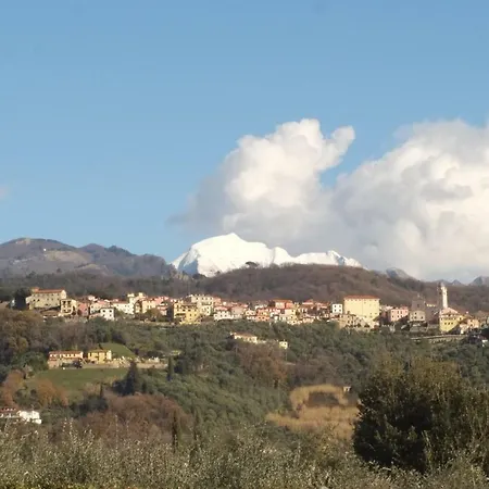 Conca D' Oro *